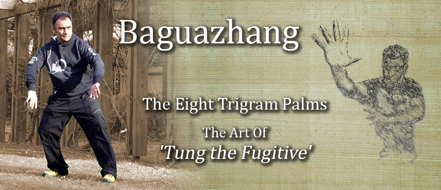 Baguazhang